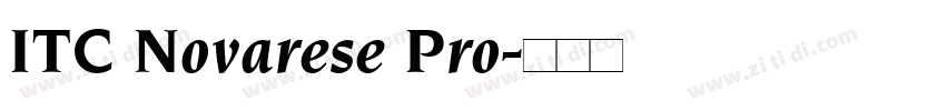 ITC Novarese Pro字体转换 ITC Novarese Pro字体转换